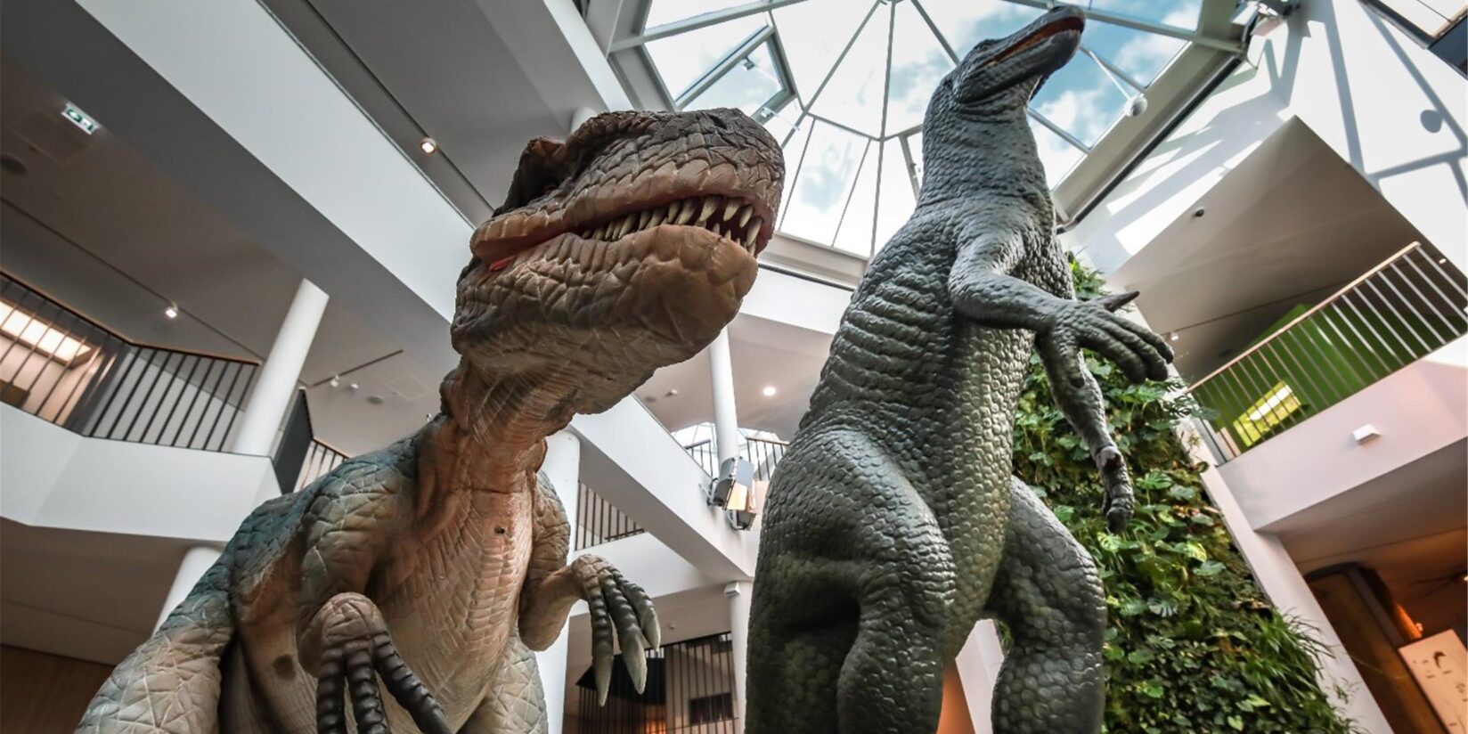 Ausstellungen & Führungen im August 2025