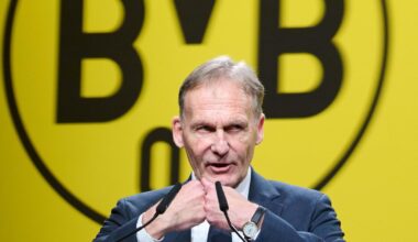 BVB mahnt AfD ab: Für den Klub war die Aktion ein Geschenk
