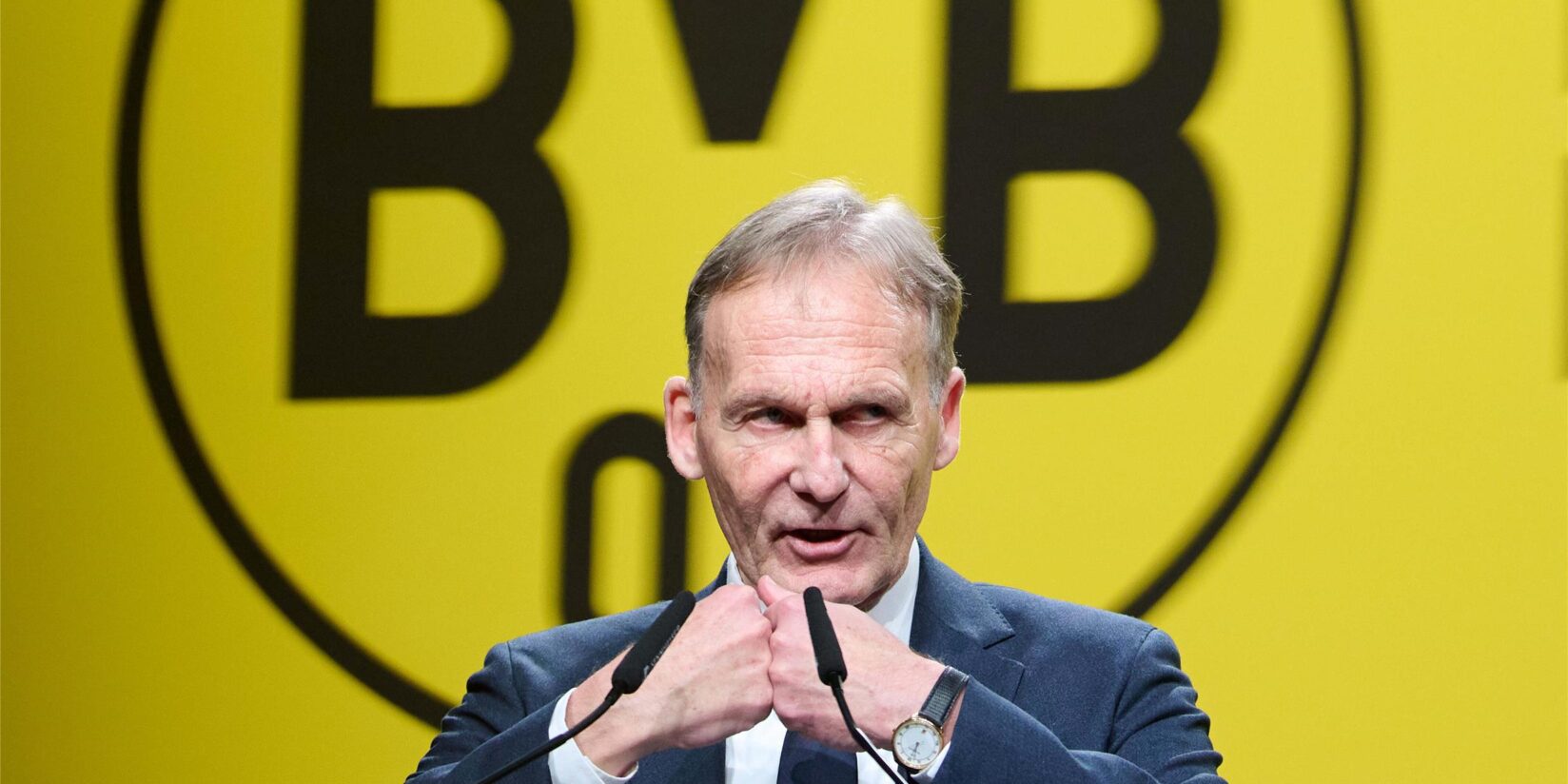 BVB mahnt AfD ab: Für den Klub war die Aktion ein Geschenk