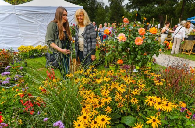 Zwei Frauen auf dem Heidemarkt im Rombergpark Dortmund vor vielen blühenden Blumen