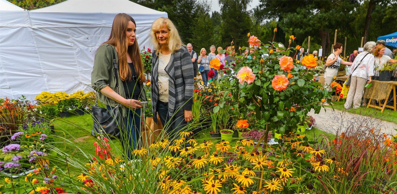 Heidemarkt 2025 lockt Besucher in den Rombergpark