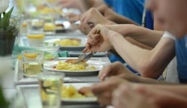 CDU will Schweinefleisch an die Schulen bringen