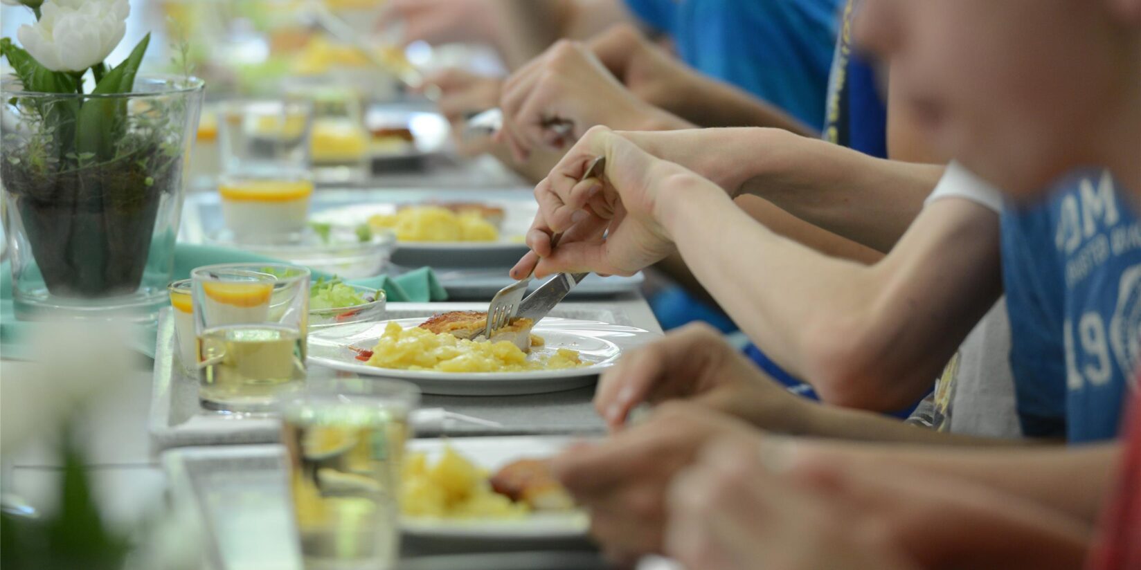 CDU will Schweinefleisch an die Schulen bringen