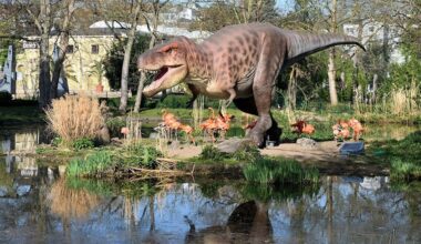 Kölner Zoo: 5x4 Familien-Tagestickets gewinnen - Rundschau Online