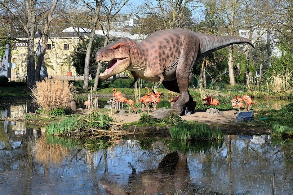 Kölner Zoo: 5x4 Familien-Tagestickets gewinnen - Rundschau Online