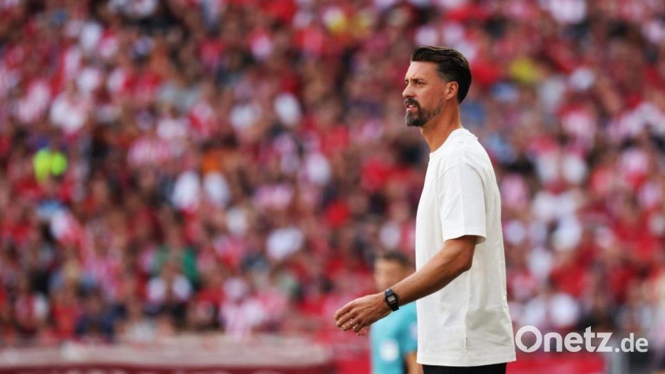 Wagner siegt bei Debüt - Stuttgart und Leverkusen patzen