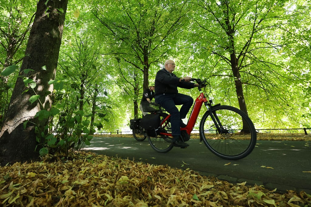 Promenaden-Baustelle in Münster: Radfahrer werden bald umgeleitet