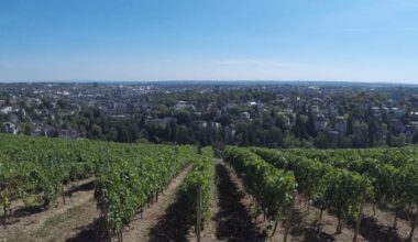 Über 30 Grad: Neue Hitzewelle startet in Wiesbaden