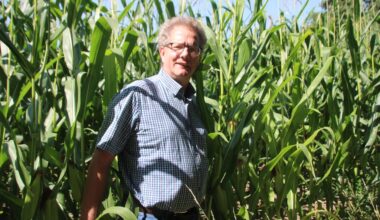 Ernte-Saison läuft - Landwirte hoffen auf gute Bedingungen