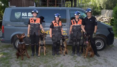 Ukraine-Spürhunde trainieren in Berlin – um in Heimat Opfer zu suchen | Regional