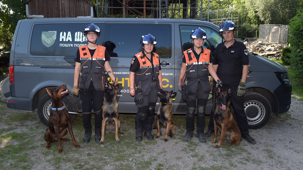 Ukraine-Spürhunde trainieren in Berlin – um in Heimat Opfer zu suchen | Regional