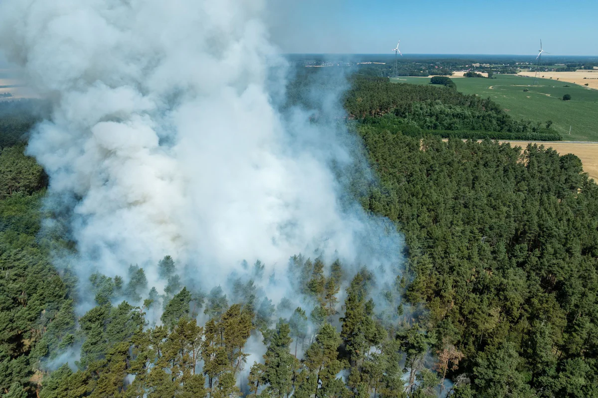 Brandsaison - Waldbrandgefahr in Brandenburg gering - steigt leicht - Panorama