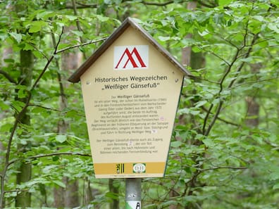 Dieses Schild gibt Auskunft über den "Weißiger Gänsefuß". Das ist eines von insgesamt 82 verschiedenen historischen Wegezeichen in der Dresdner Heide.