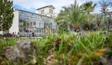 Chemnitz und Dresden - Botanische Gärten kämpfen mit Diebstählen - Panorama