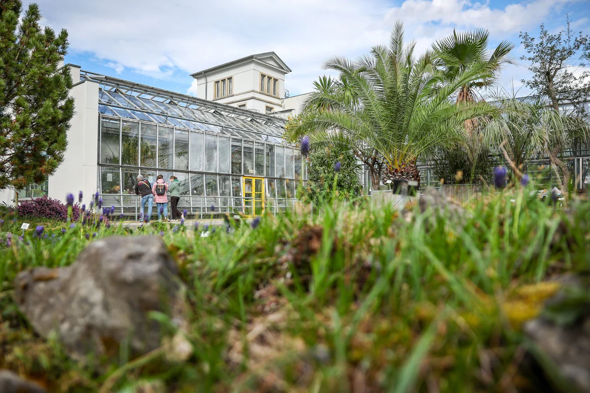 Chemnitz und Dresden - Botanische Gärten kämpfen mit Diebstählen - Panorama