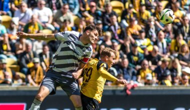 3. Fußball-Liga - Wehen Wiesbaden holt Innenverteidiger aus Sandhausen - Sport