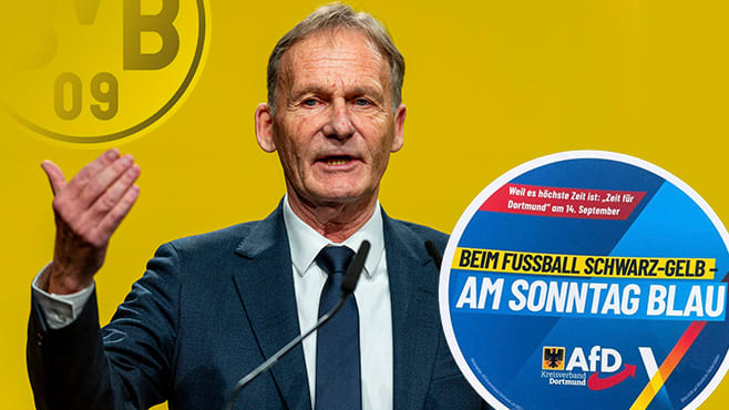 BVB wehrt sich gegen AfD-Spruch! Wahlwerbung sorgt für Ärger | Sport