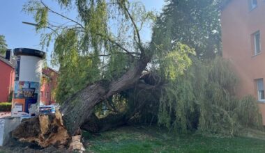 Sturmschaden in Bonn: Baum verfehlt Mehrfamilienhaus nur knapp