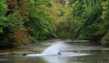 Kastellgraben in Münster: Belüfter soll Fischsterben verhindern