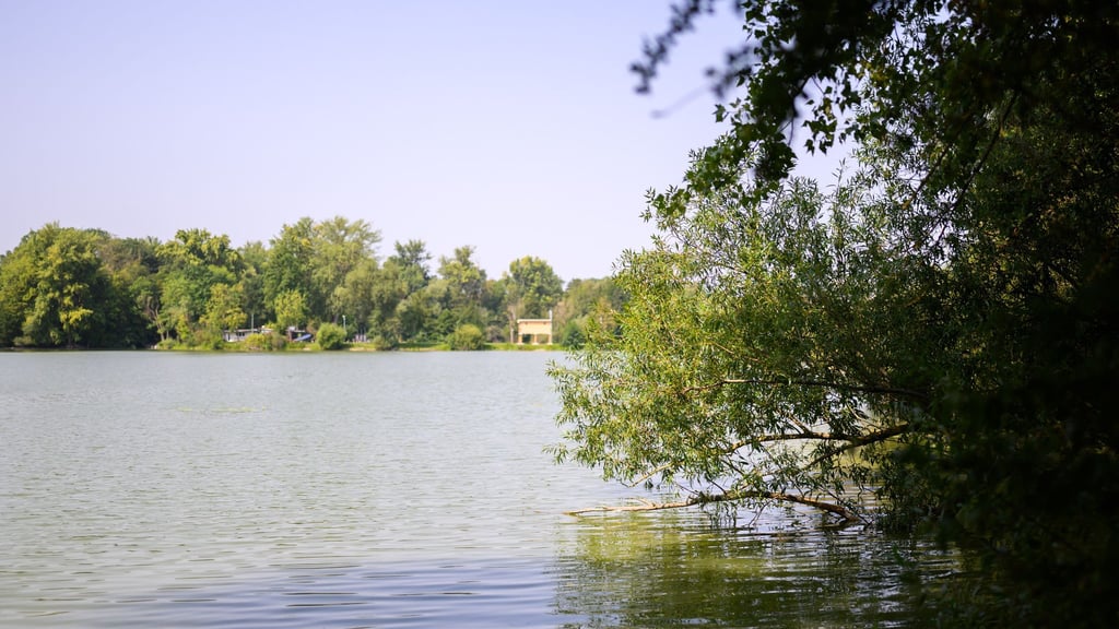 Badeseen in Niedersachsen wegen Blaualgen gesperrt