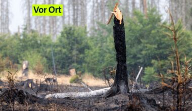 Waldbrände: Wie Luftretter das Schlimmste verhindern