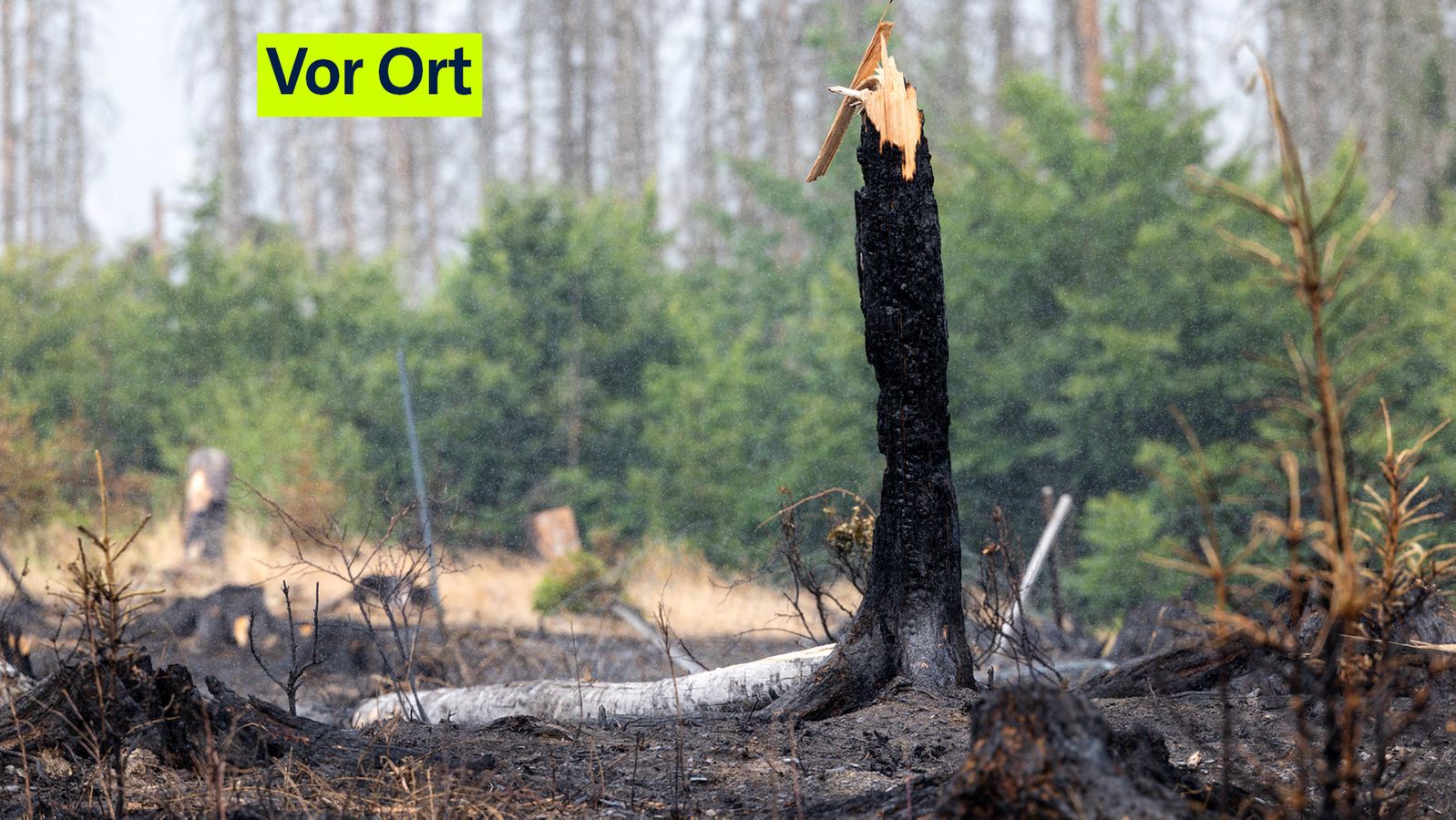 Waldbrände: Wie Luftretter das Schlimmste verhindern