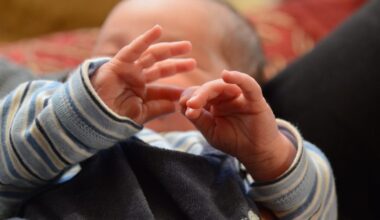 Gut vorbereitet ins Großelternsein | halloherne.de