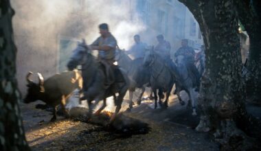Zweiter Todesfall binnen Wochen: Zuschauer stirbt bei Stierlauf in Frankreich