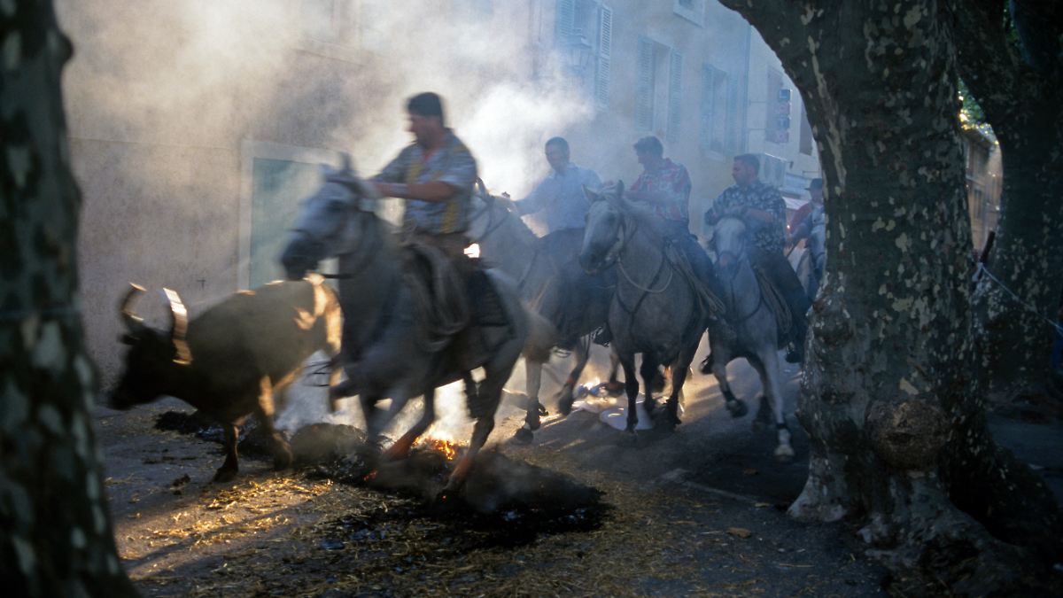 Zweiter Todesfall binnen Wochen: Zuschauer stirbt bei Stierlauf in Frankreich