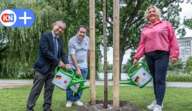 Warum ein neuer Kirschbaum im Hiroshimapark Kiel für Hoffnung steht