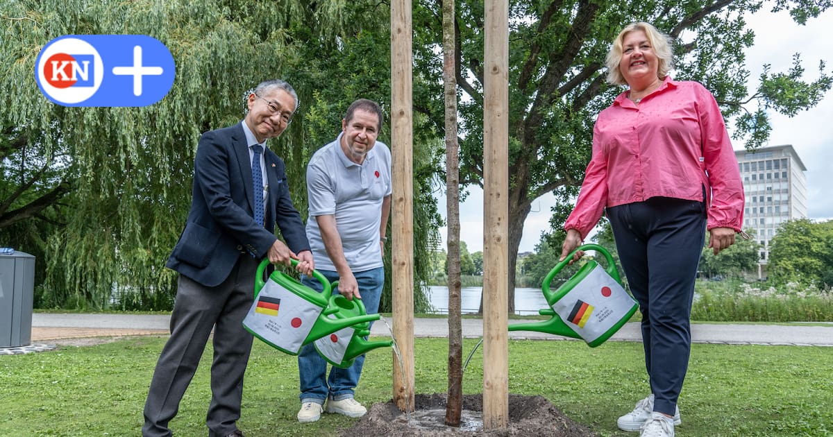 Warum ein neuer Kirschbaum im Hiroshimapark Kiel für Hoffnung steht