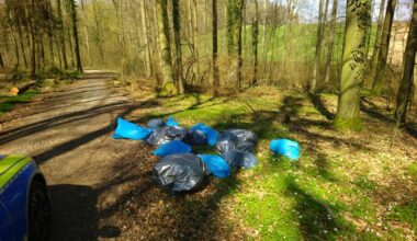 Mannheim: Gemeinsam anpacken beim Waldputztag im Käfertaler Wald