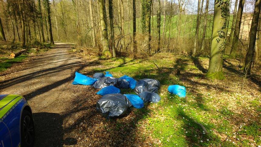 Mannheim: Gemeinsam anpacken beim Waldputztag im Käfertaler Wald