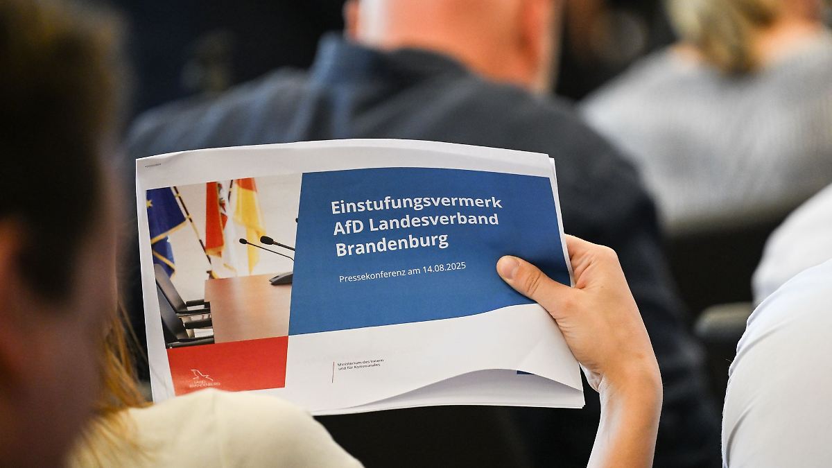 Berlin & Brandenburg: SPD und BSW beim Umgang mit AfD-Einstufung uneins