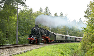 BLZ 3639 Reichenbach Kurpark