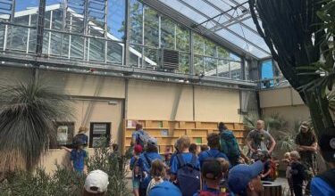 Erlebnisreiche Sommerwochen bei der Kindersportschule TV 1893 Viernheim – Viernheim Online