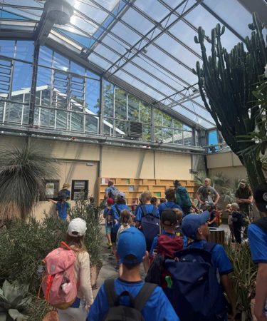 Erlebnisreiche Sommerwochen bei der Kindersportschule TV 1893 Viernheim – Viernheim Online