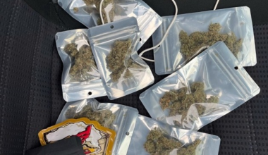 POL-D: Bilk - Mann mit Joint und Handy am Steuer - Zivilstreife zieht Autofahrer aus ...