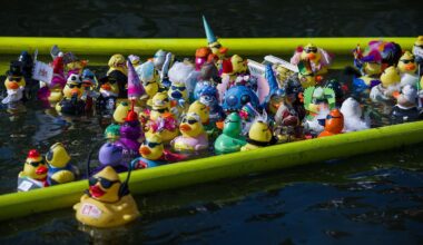 Niedersachsen & Bremen: Für den guten Zweck: Gummienten-Rennen auf dem Maschsee