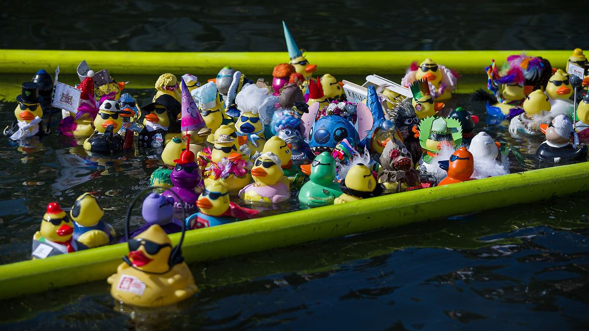 Niedersachsen & Bremen: Für den guten Zweck: Gummienten-Rennen auf dem Maschsee