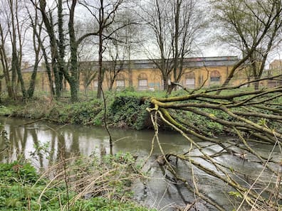 Den Abriss der früheren Kohlelagerhalle auf dem Kraftwerksgelände an der Bornaischen Straße hat das Baudezernat aus Denkmalschutzgründen untersagt.