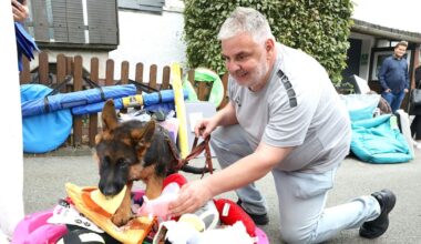 Sommerfest im Tierheim kommt direkt den Tieren zugute