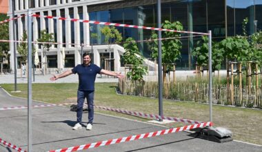 Dresden: Baumexperiment am neuen Stadtforum