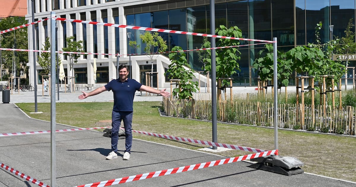 Dresden: Baumexperiment am neuen Stadtforum