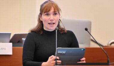 Kunst auf Rezept gegen den Willen von CDU, AfD und den Leuten in Paunsdorf · Leipziger Zeitung