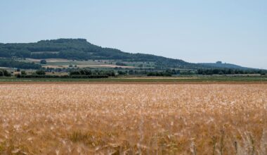 Bayern: LfU: August in Bayern deutlich zu trocken