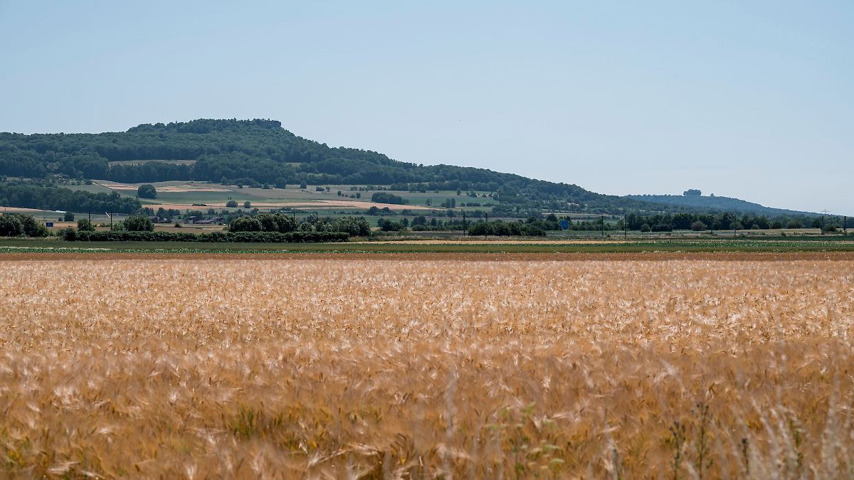 Bayern: LfU: August in Bayern deutlich zu trocken