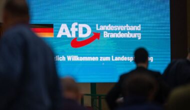 Berlin & Brandenburg: Innenminister stellt Gutachten zur Einstufung der AfD vor