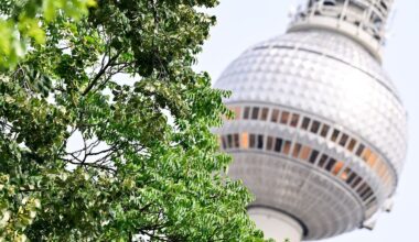 Berlin & Brandenburg: Experte: "Der Juli war ein Wonnemonat für die Pflanzen"