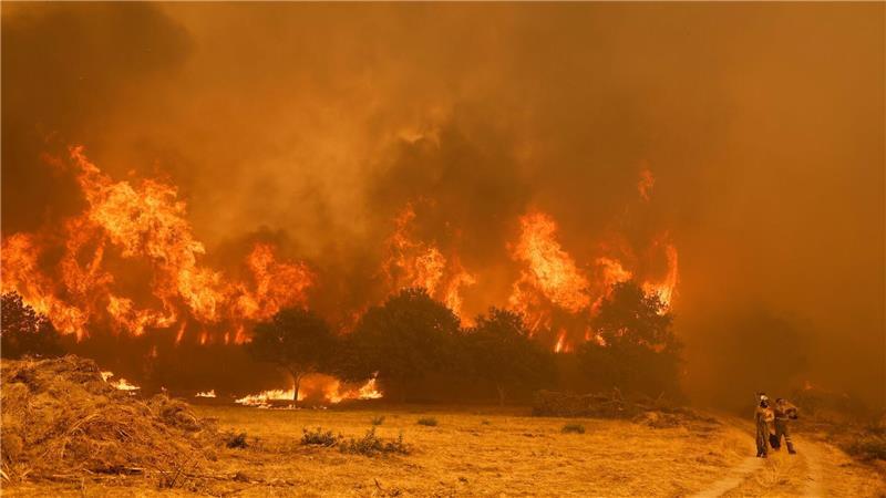 Die Brandbekämpfer sehen sich teilweise mit riesigen Feuerwänden konfrontiert, die durch stürmische Winde jederzeit schnell die Richtung ändern können. 